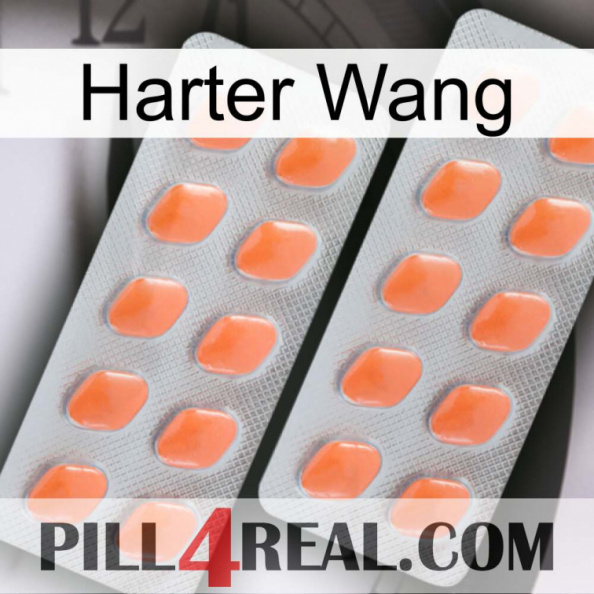 Hard Wang 27